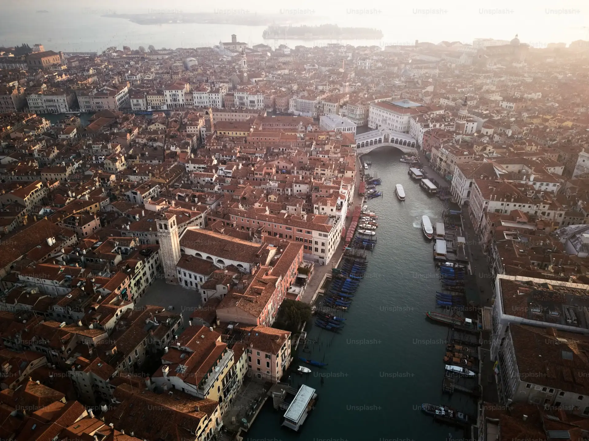 Imagen de ¿Qué pasa con tantos Leones en Venecia?