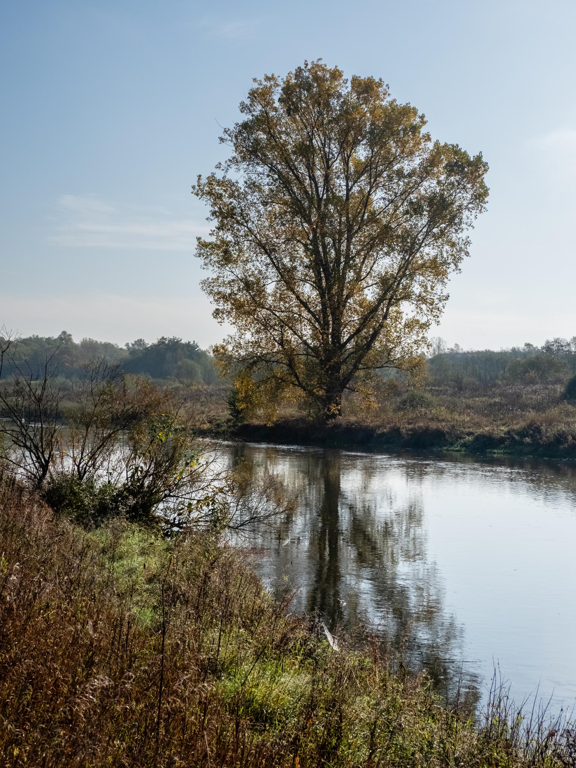 Cyclists on the Regnitz River trail near Pettstadt, where scenic rides meet charming hamlets.