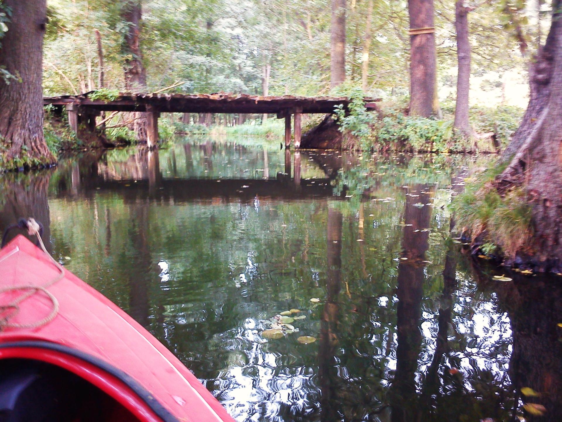 Kayaking the tranquil waters of the Regnitz offers a unique view of Bamberg's historic skyline.