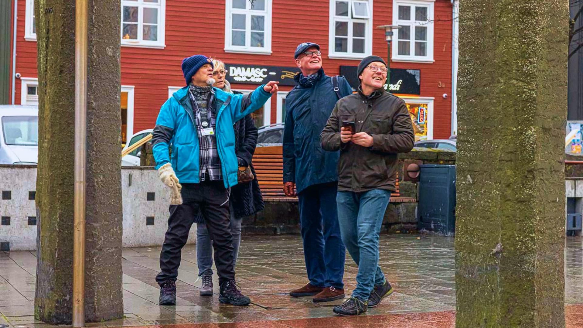 Immagine 4 del tour Passeggiata con un Vichingo - Tour di Reykjavik