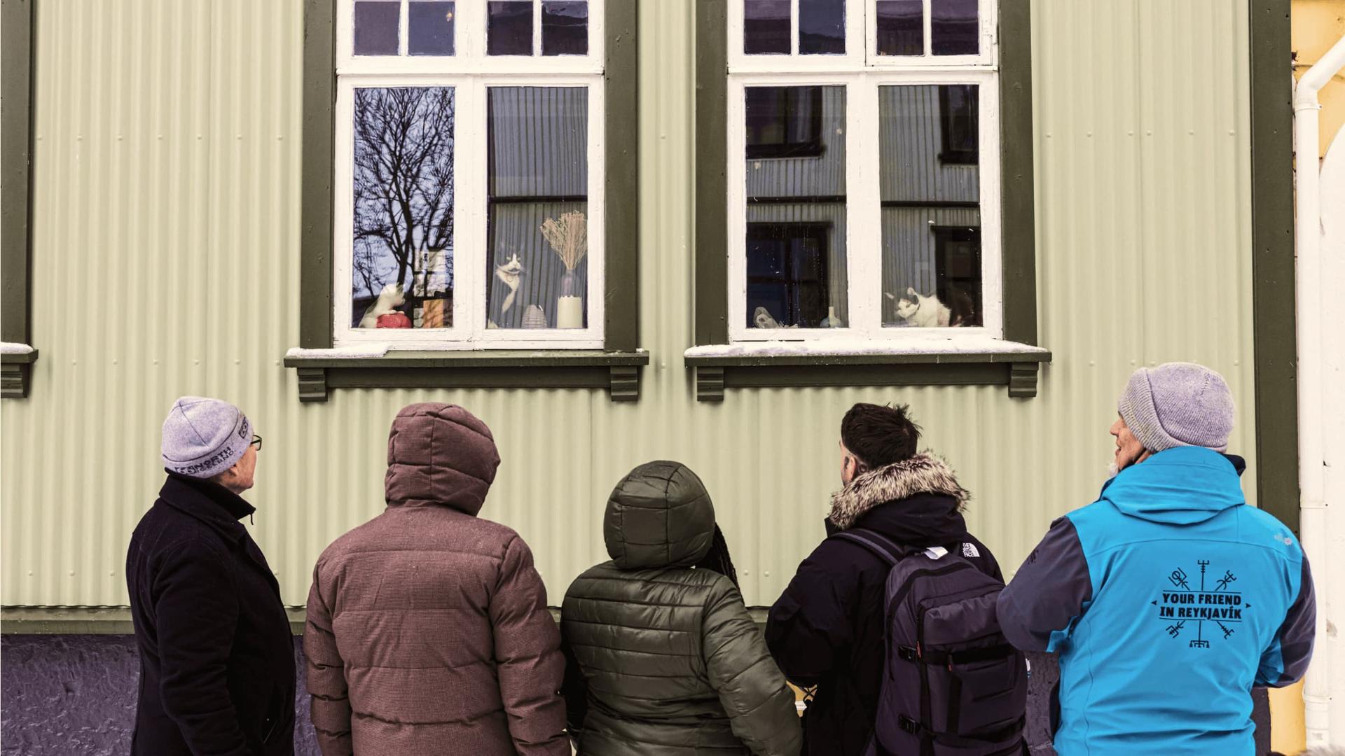Immagine 1 del tour Reykjavik a passo di gatto