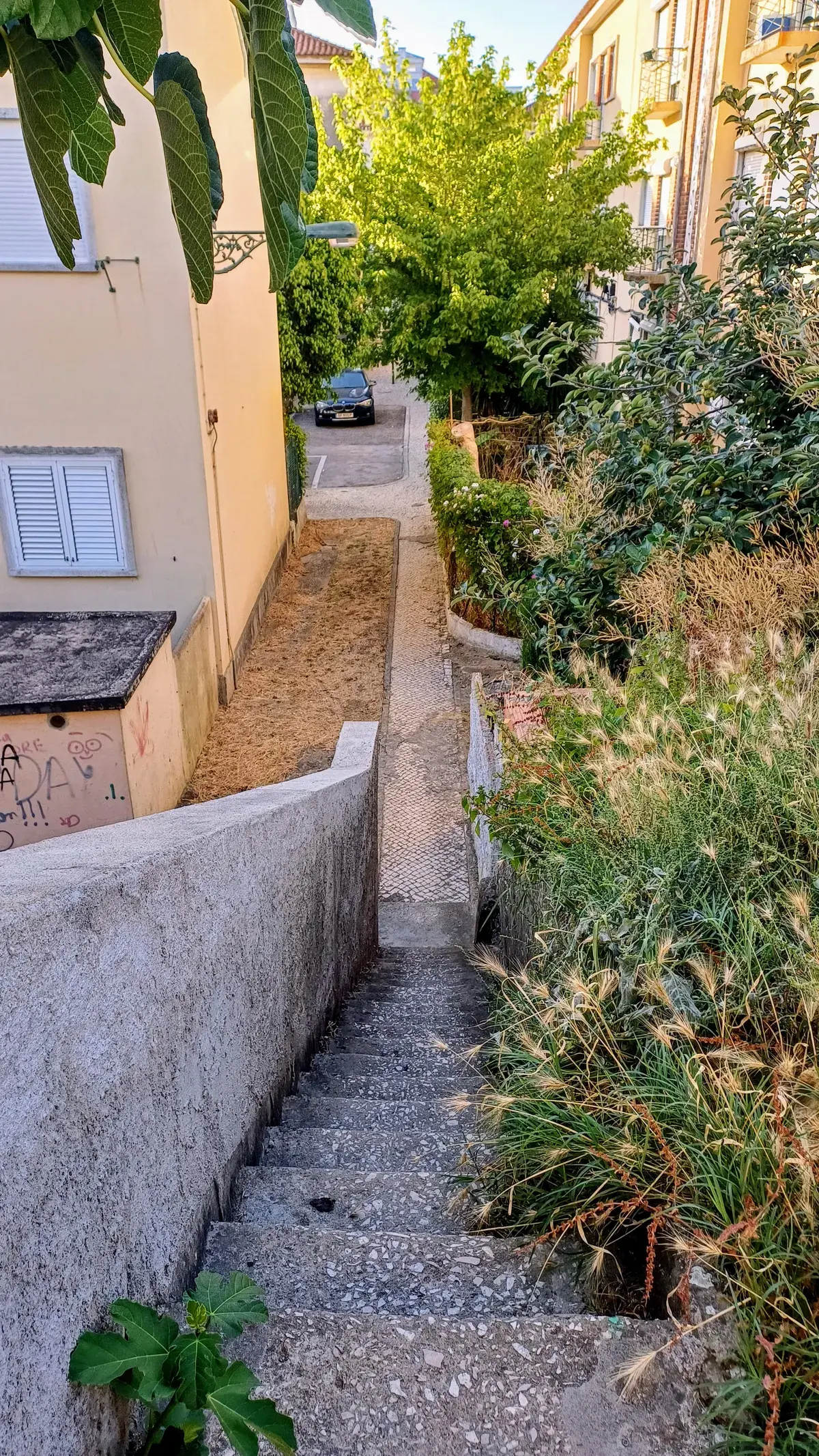 Straßenszene in Alvalade, Lissabon. Foto: Salwa Farwaneh