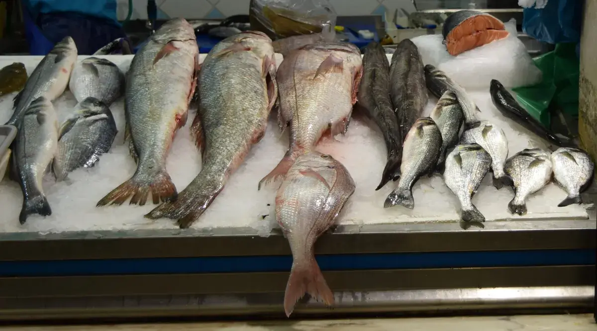 Der Eingangsbereich des Mercado da Ribeira in Lissabon. Foto: Haydn Blackey