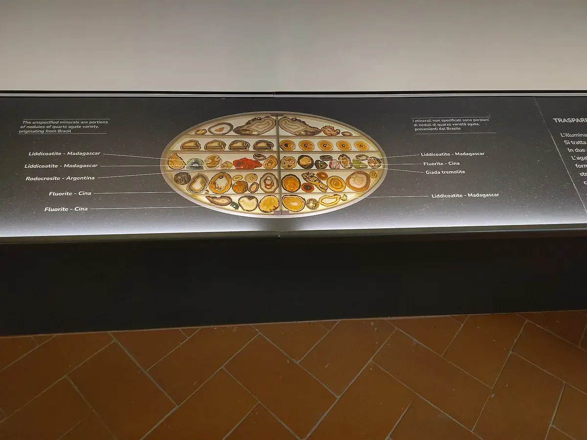 The zoological museum at La Specola in Florence. Photo: Daniel Mietchen