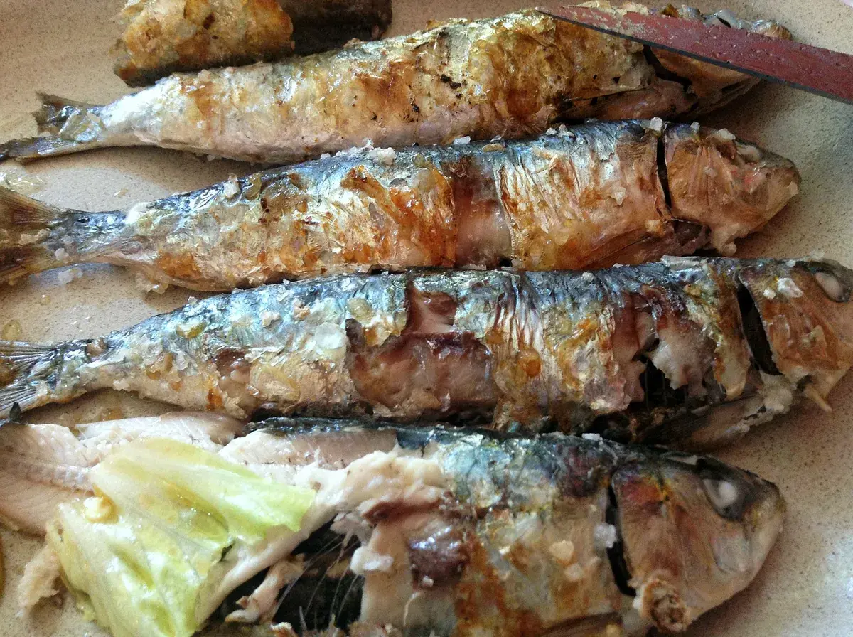 Grilled sardines on bread, a Lisbon classic especially around the June Santo António festival. Photo: Bosc d'Anjou from Portugal, CC BY 2.0