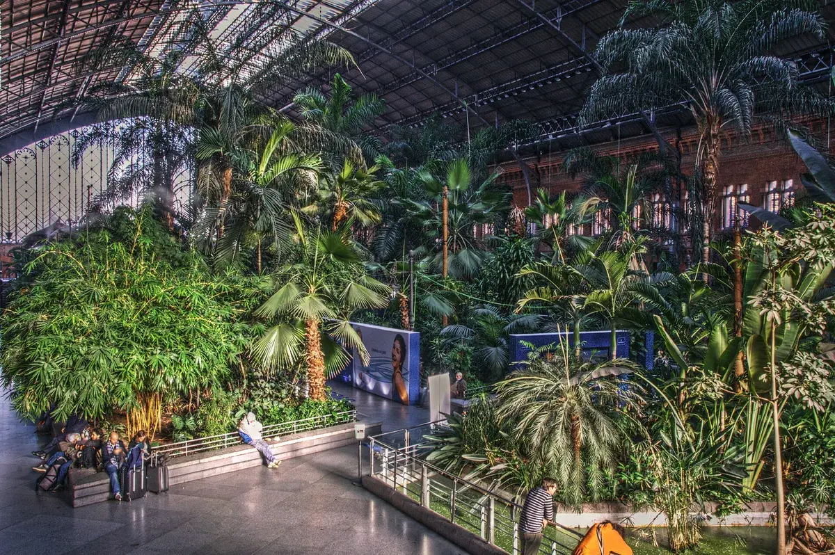 The tropical garden inside Atocha station, a handy landmark when you are arriving by train with a bag. Photo: Felipe Gabaldón, CC BY 2.0
