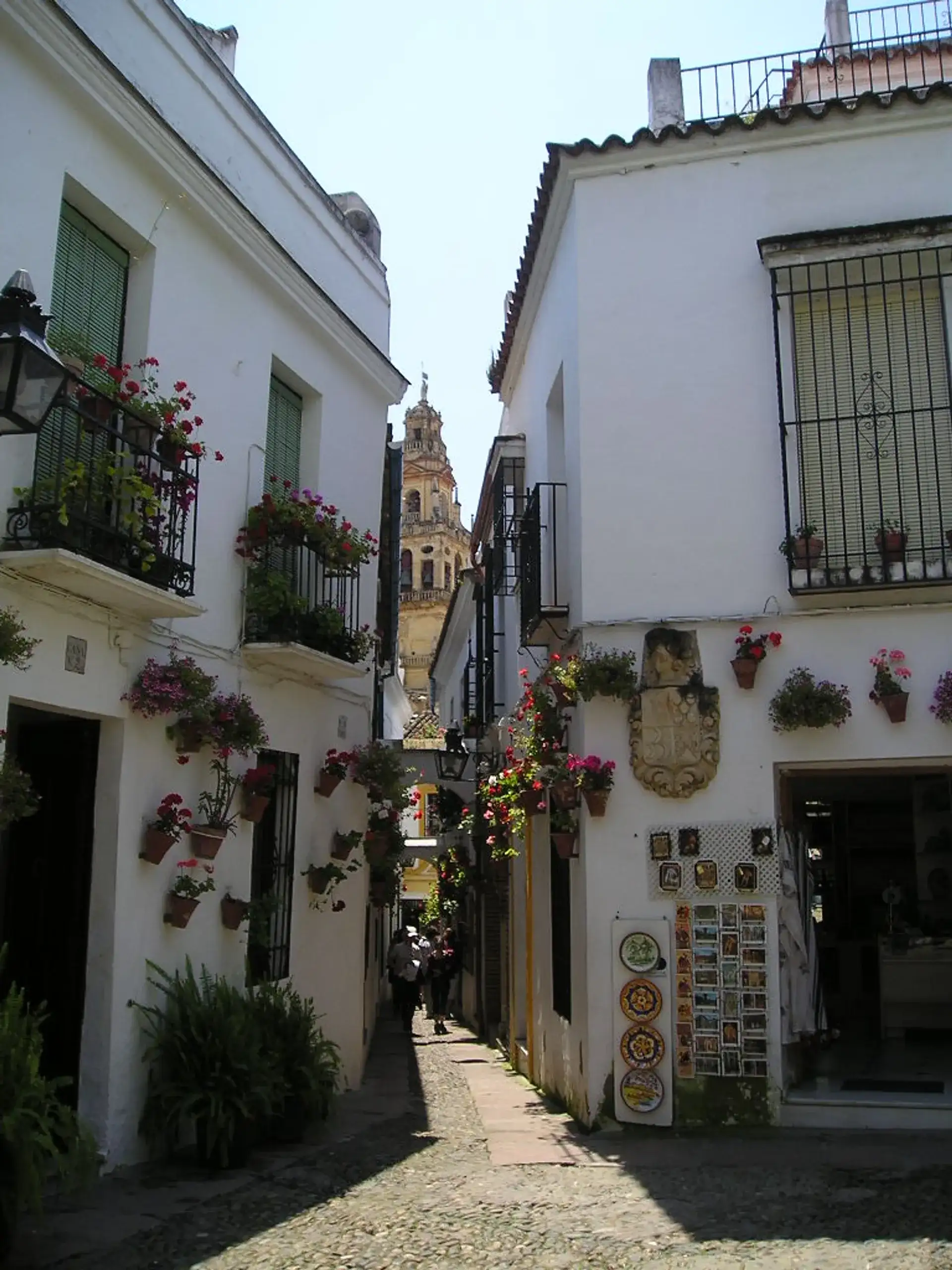 Calleja de las Flores: Córdoba's Famous Flower Alley - Cordoba
