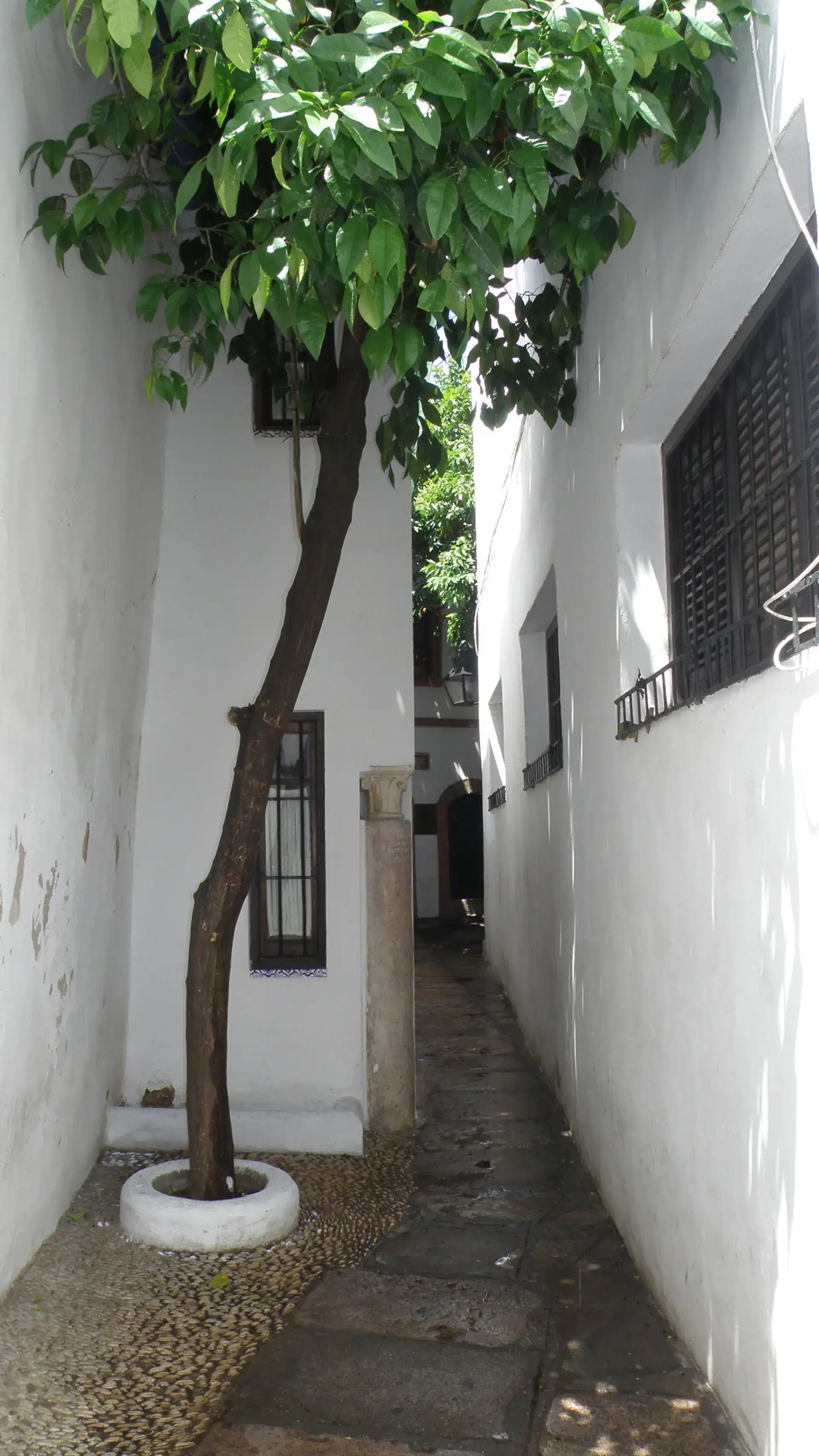 Calleja del Pañuelo: Córdoba's Handkerchief Alley - Cordoba