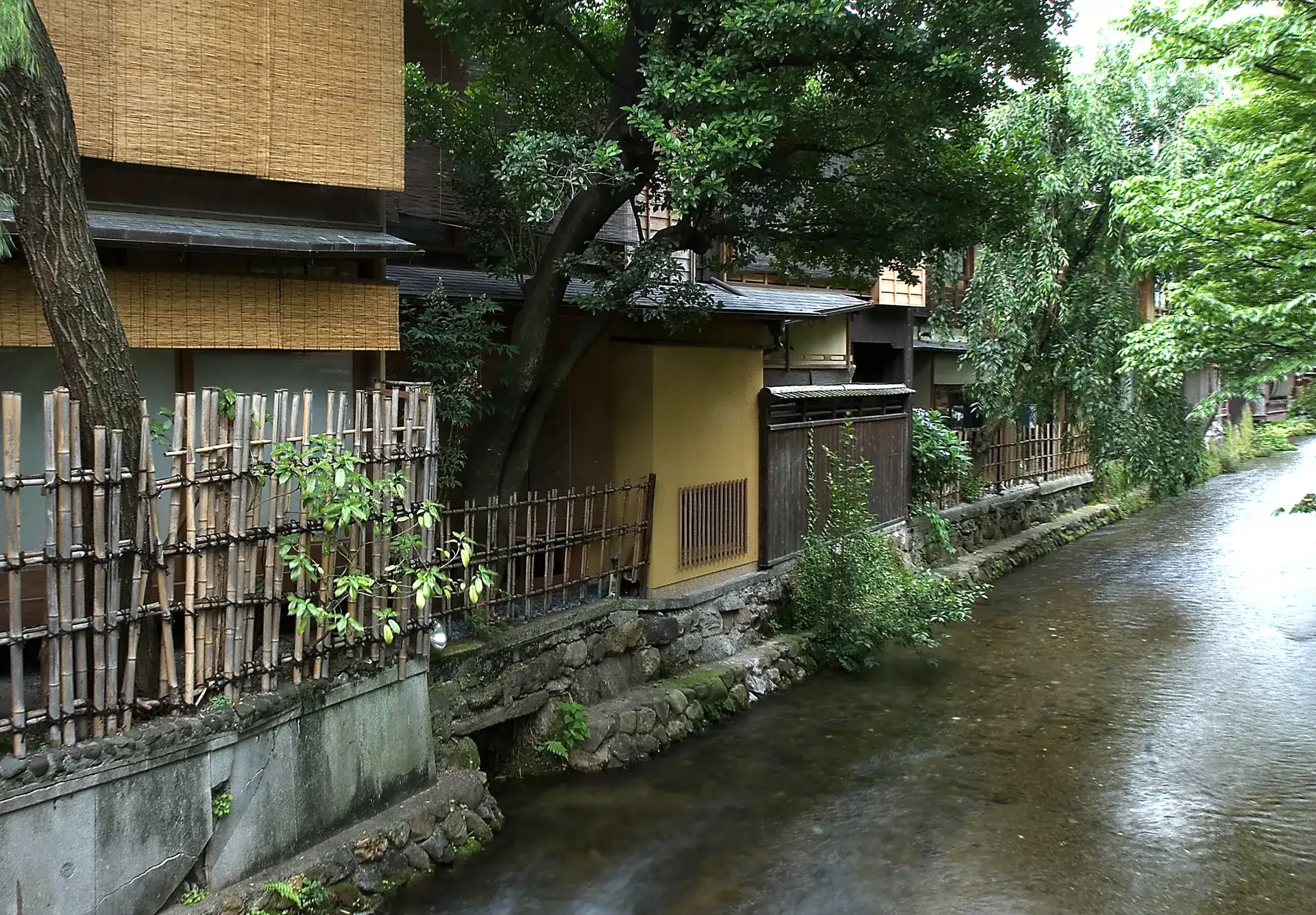 Canal Shirakawa: una histórica vía fluvial de Gion en Kioto - Kyoto
