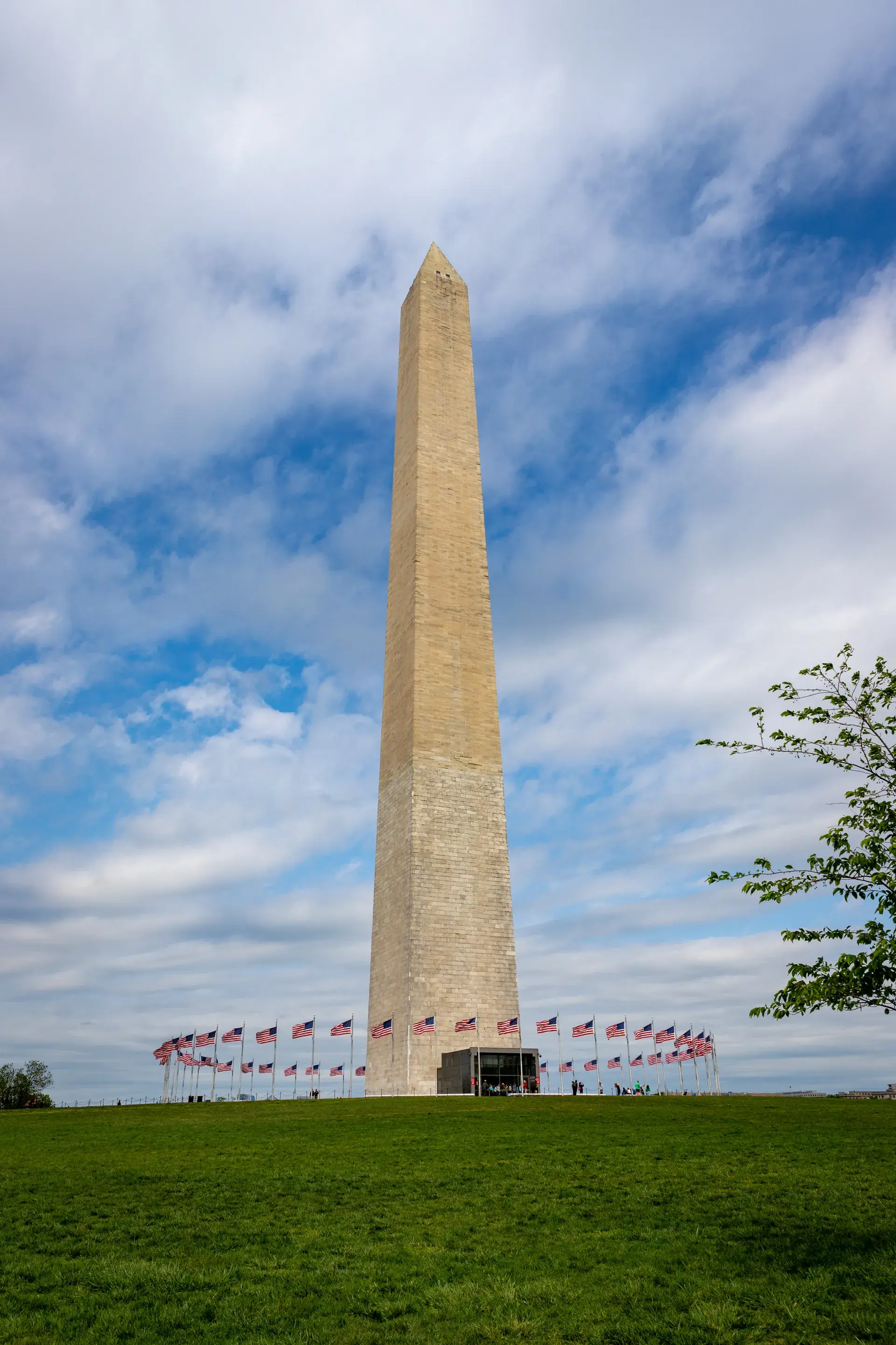 Imagem 4 da visita Washington: locais imperdíveis, uma visita a pé autoguiada com áudio e quizzes