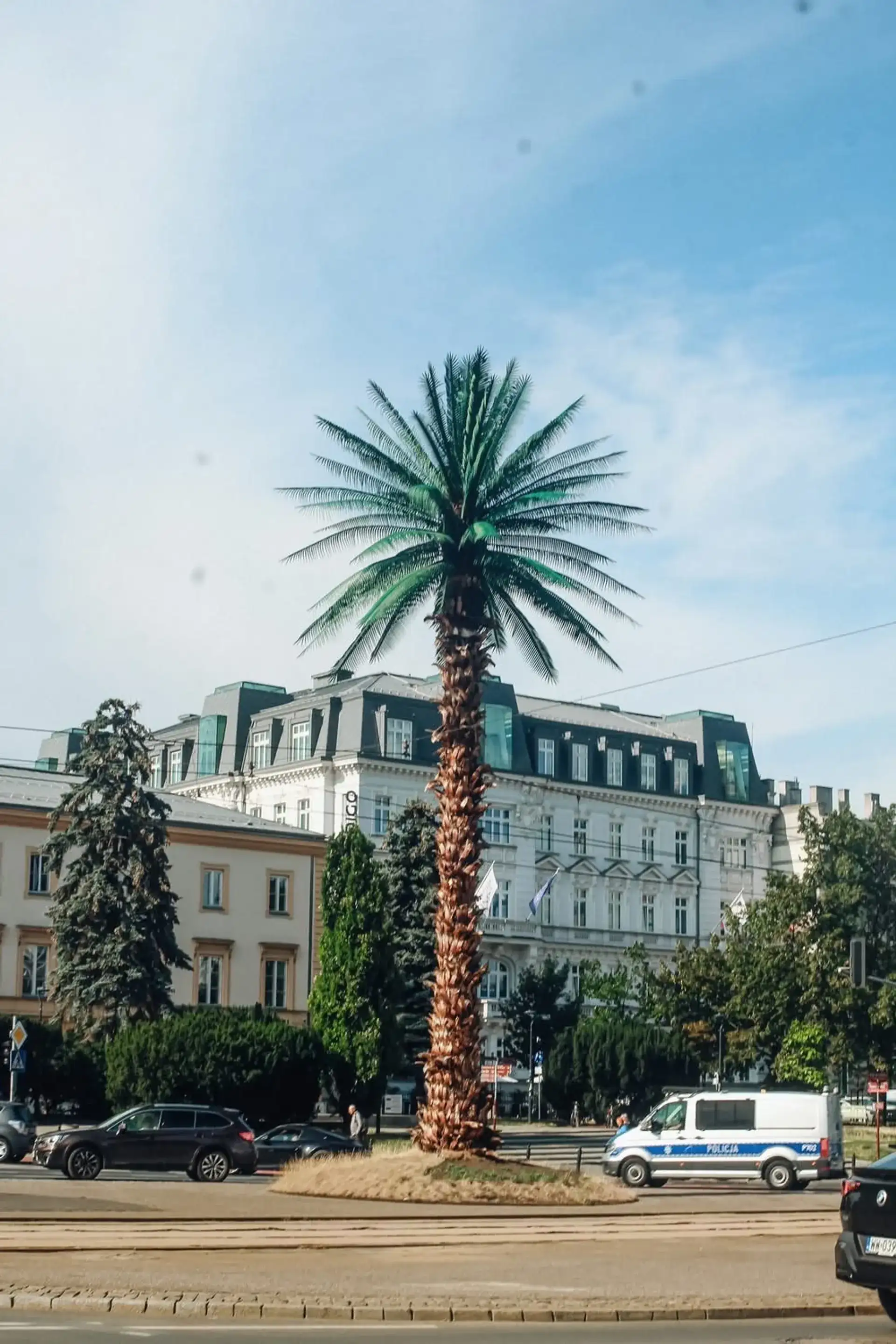 La palmera de Varsovia: un icono urbano improbable - Warsaw
