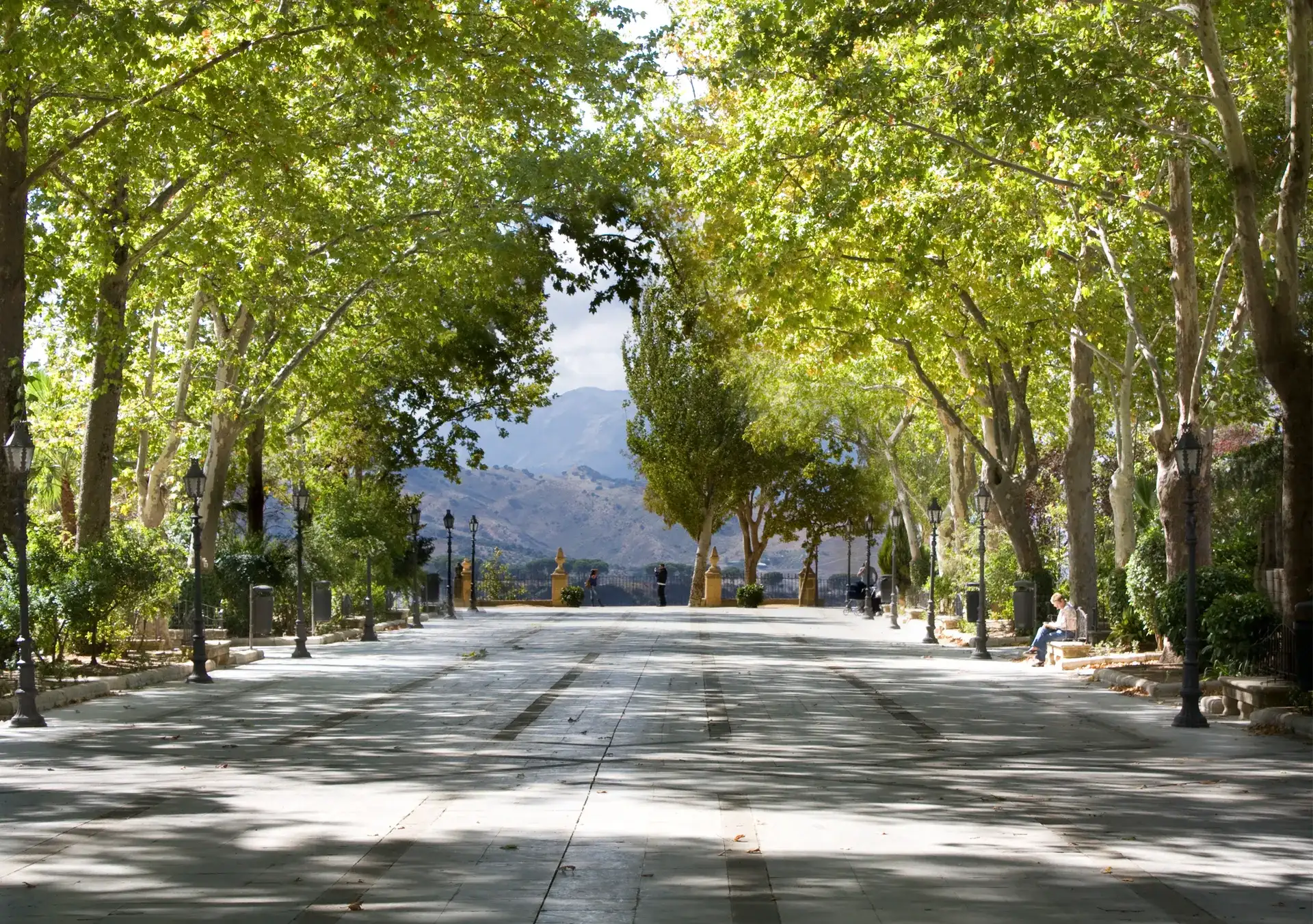 Alameda del Tajo: el paseo al borde del abismo en Ronda - Ronda