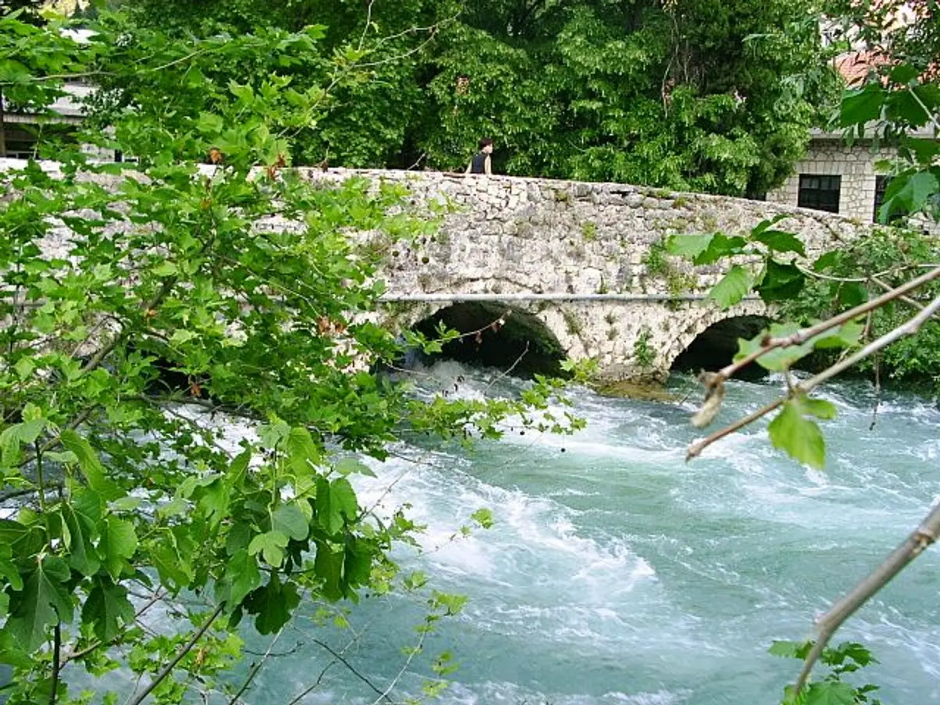 Inat ćuprija