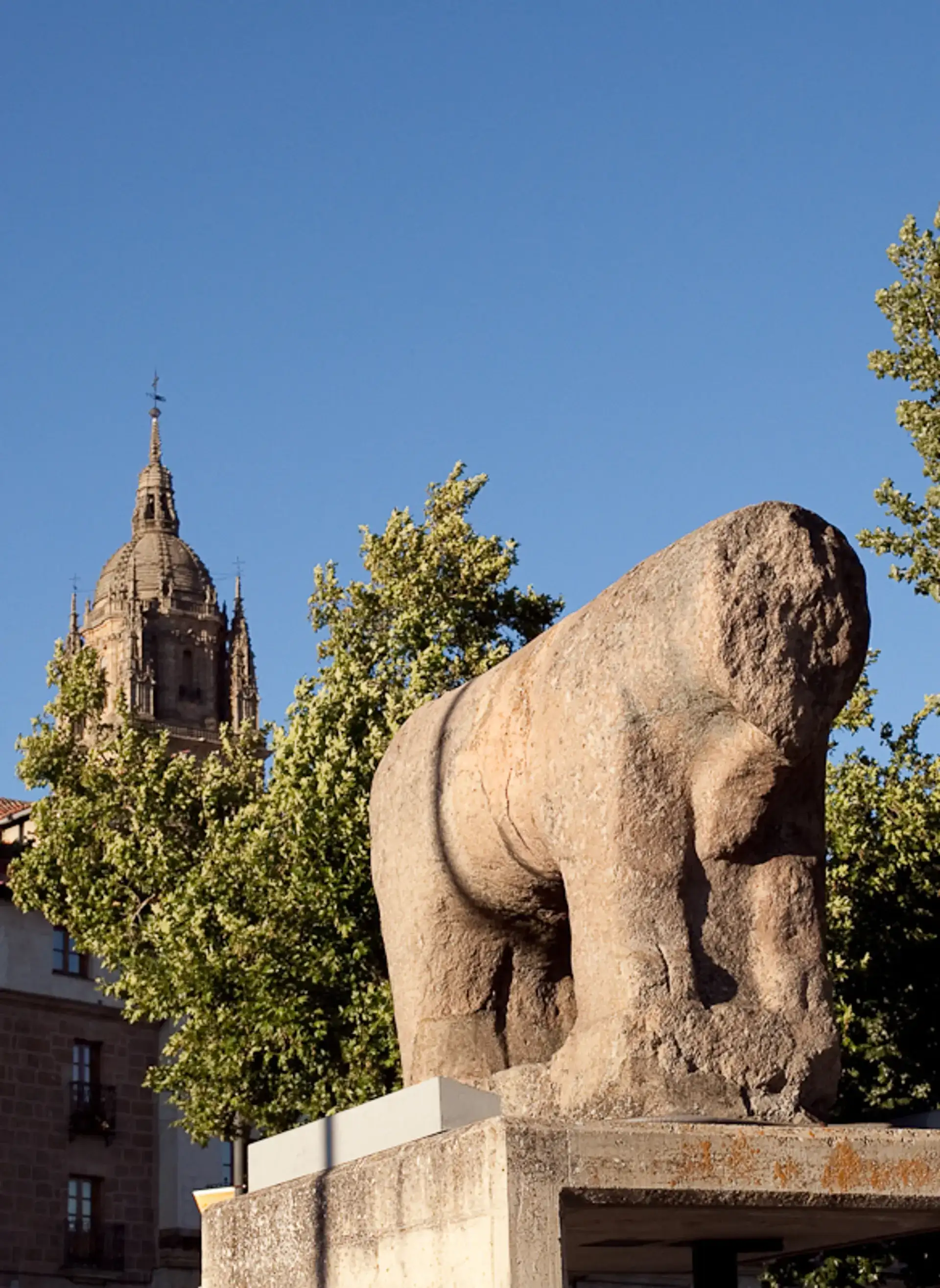 Salamanca's Roman Bridge and the Ancient Verraco - Salamanca