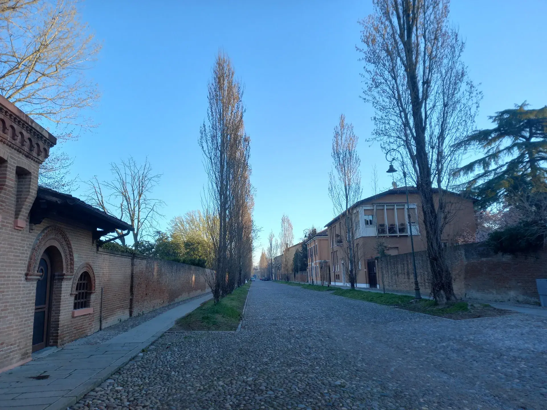 GooglePlaces | Michele Carino | Google Places
