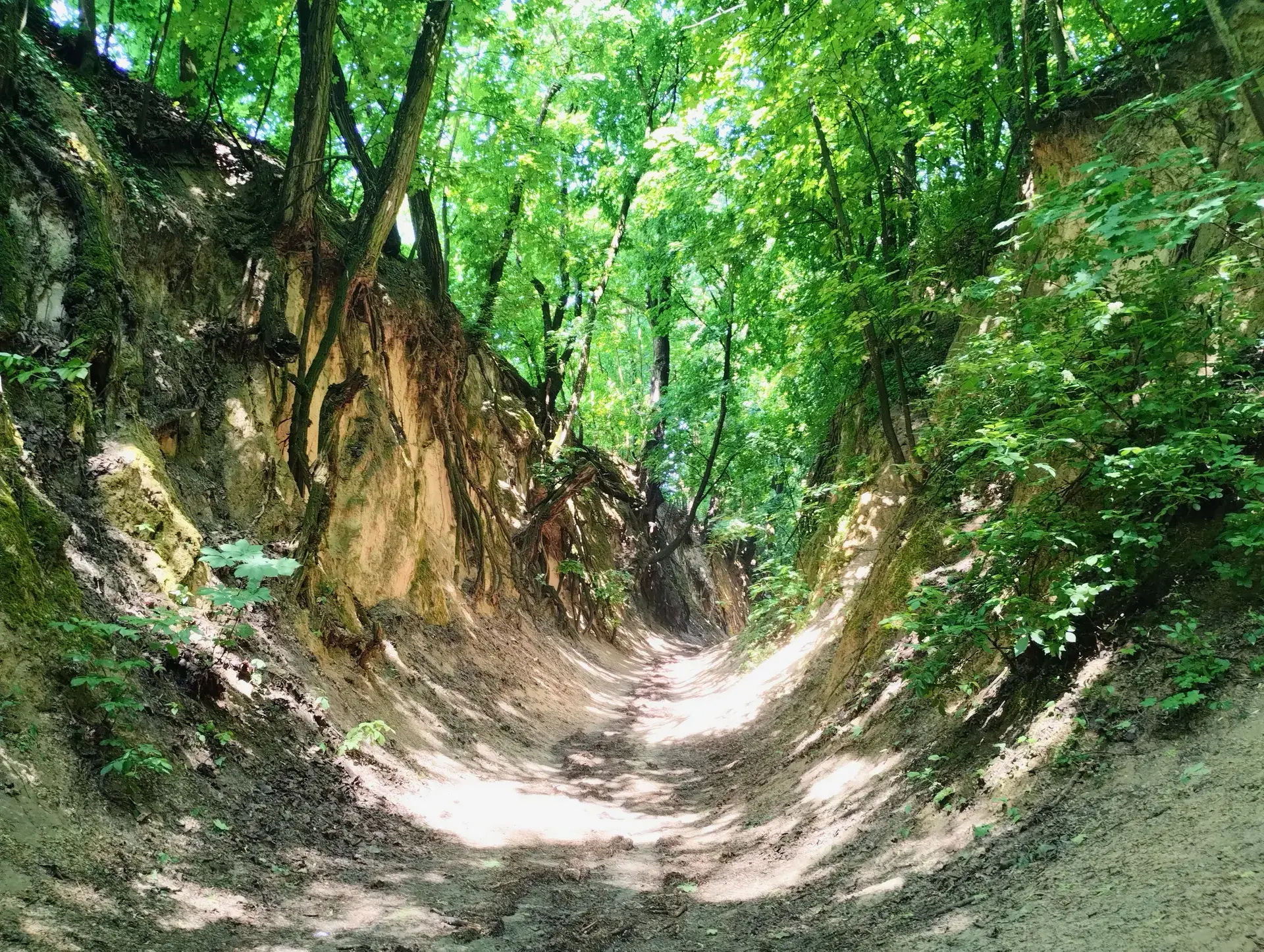 Ravine of Queen Jadwiga