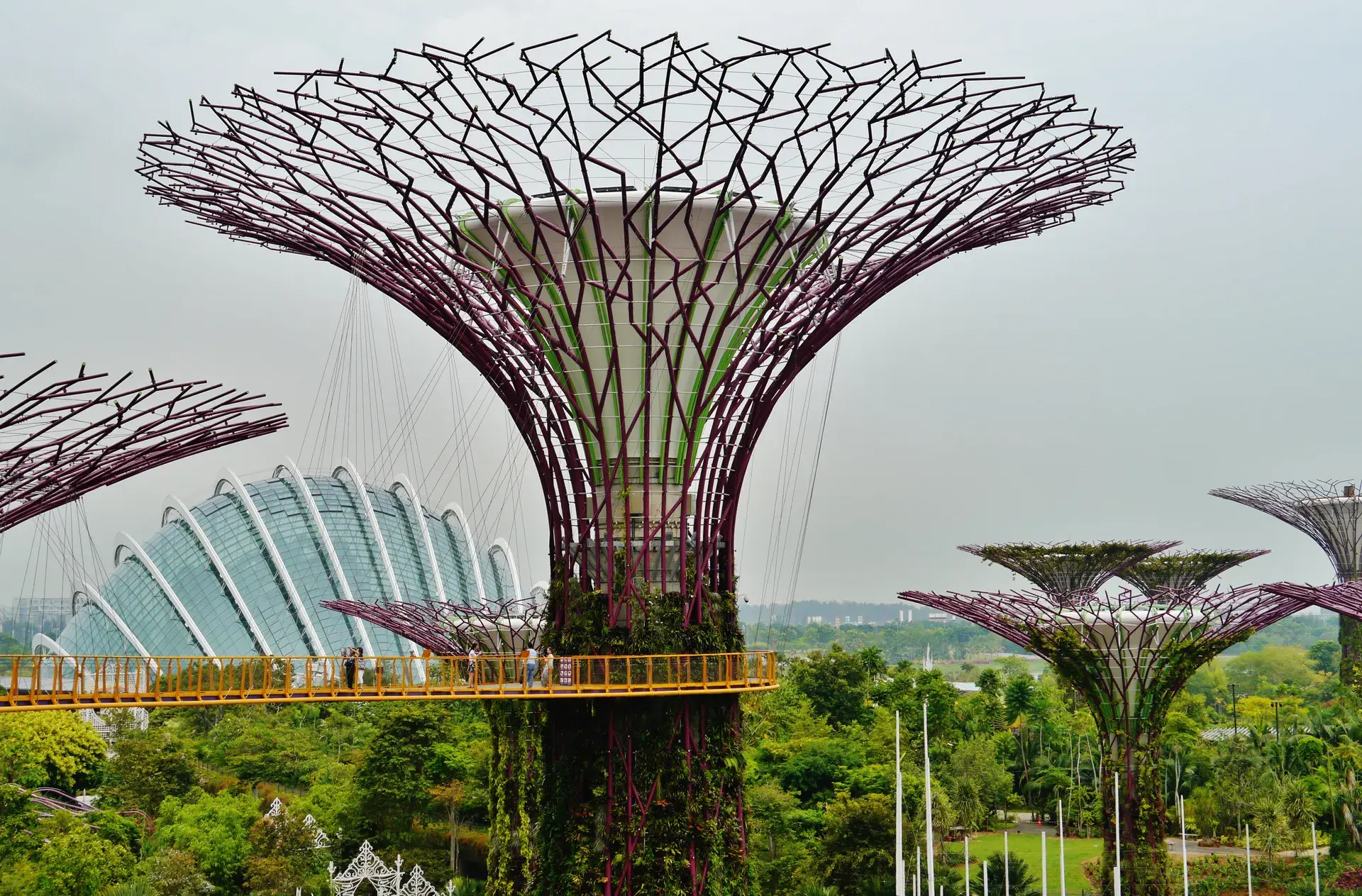 Immagine 4 del tour Singapore: i luoghi imperdibili, un itinerario a piedi in totale libertà con audio e quiz