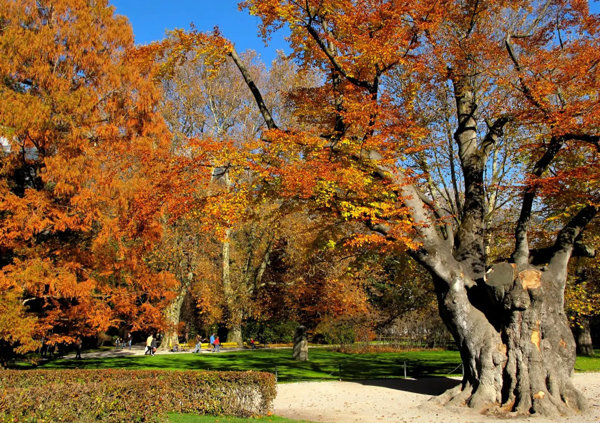 Innsbrucker Hofgarten