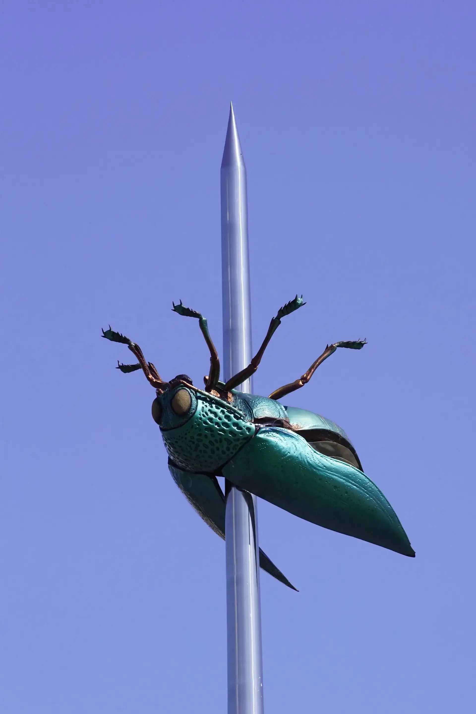 Jan Fabre's Beetle Totem in Leuven - Leuven
