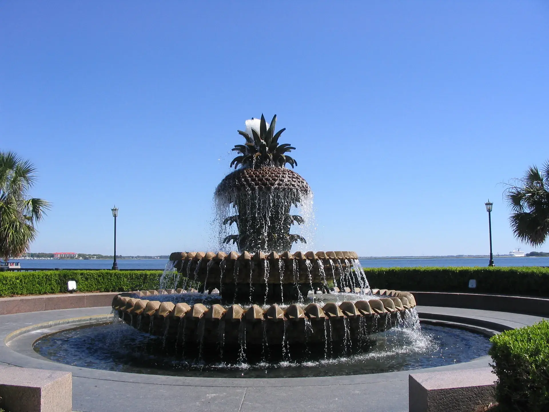 Imagen de Fuente de la piña