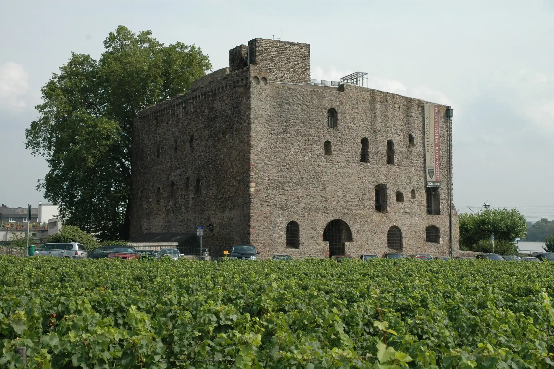 Brömserburg: Rüdesheim's Historic Water Castle - Rudesheim-am-rhein