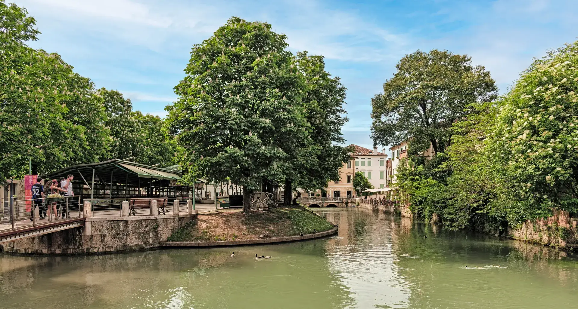 Isola della Pescheria: Treviso's Island Market - Treviso