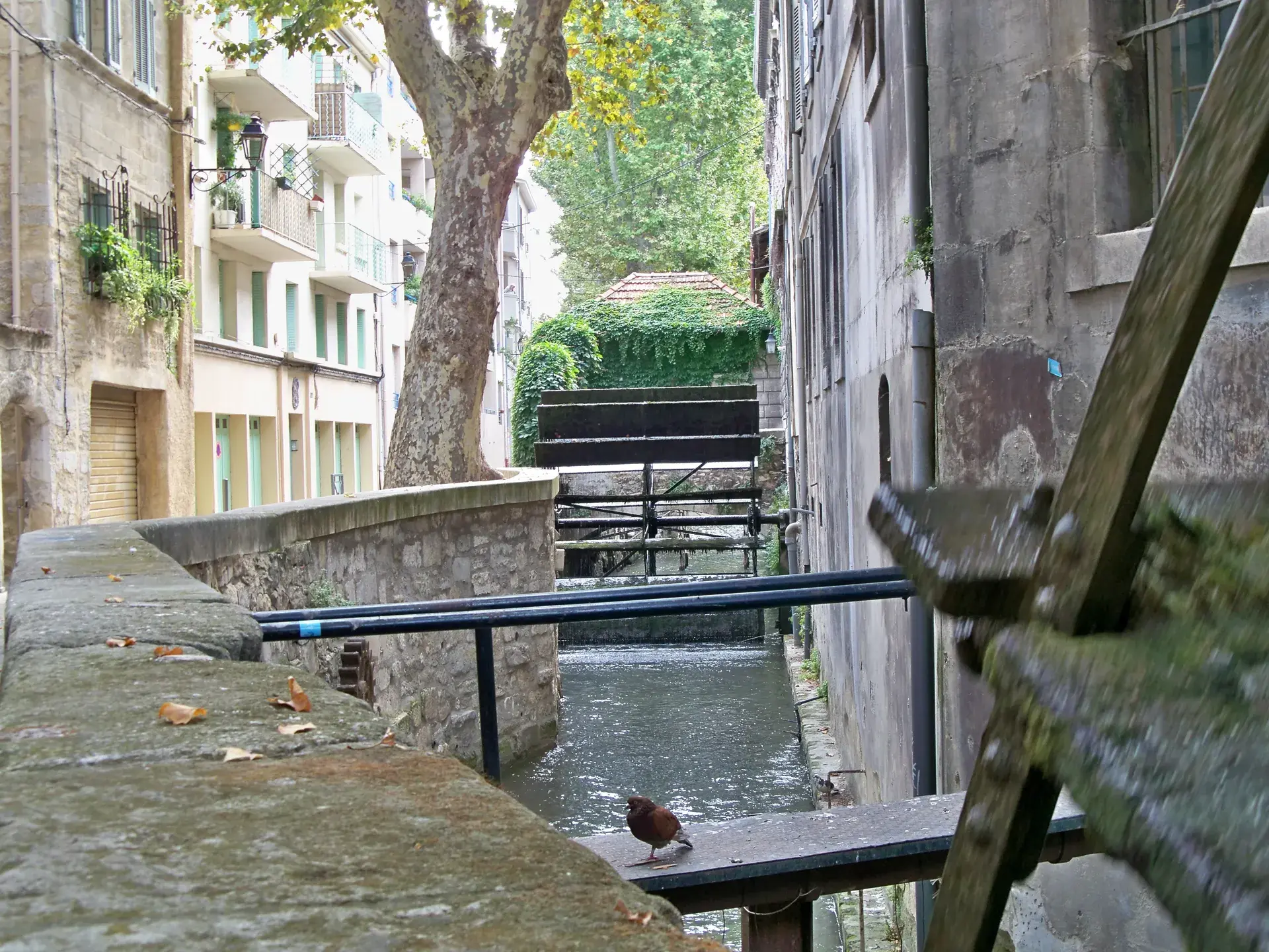 Tour image 3 for Avignon: essential landmarks, a self-guided walking tour with audio