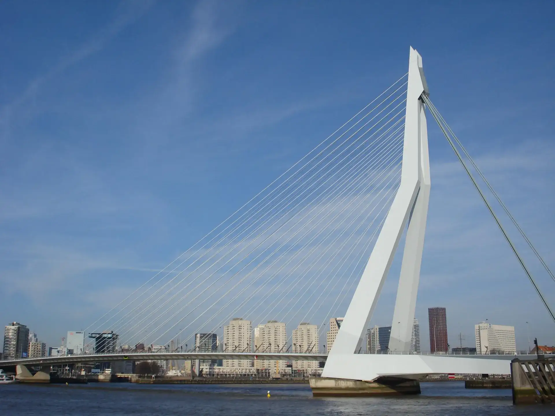 Erasmusbrug: l'iconico ponte del Cigno di Rotterdam - Rotterdam