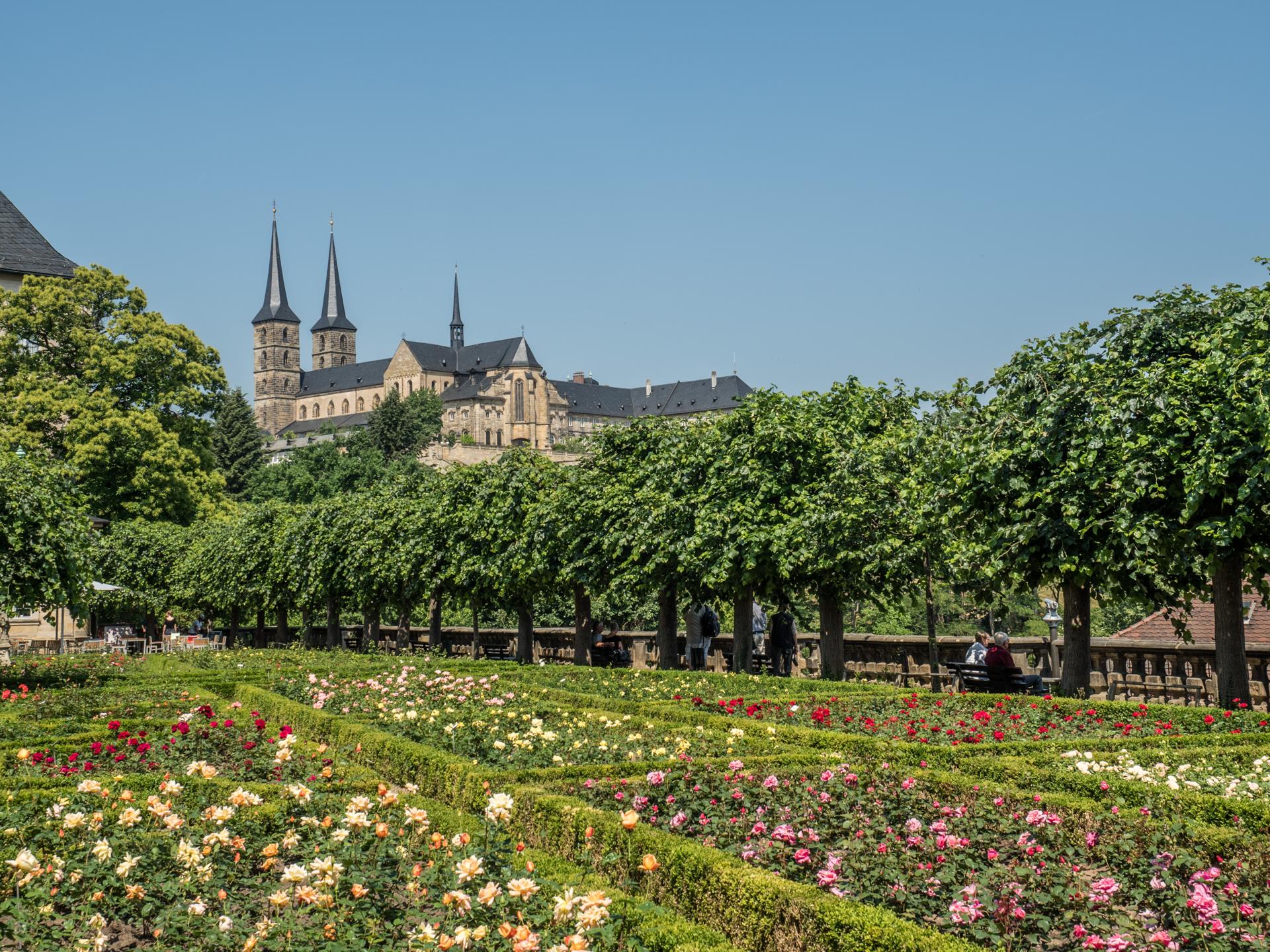 Rose garden in Bamberg (Photo by ermell, CC BY-SA 3.0)